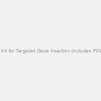PinPoint-FC Murine iPSC Platform Kit for Targeted Gene Insertion (includes PIN340iPS-1, PIN200A-1, PIN510A-1 & PIN600A-1)